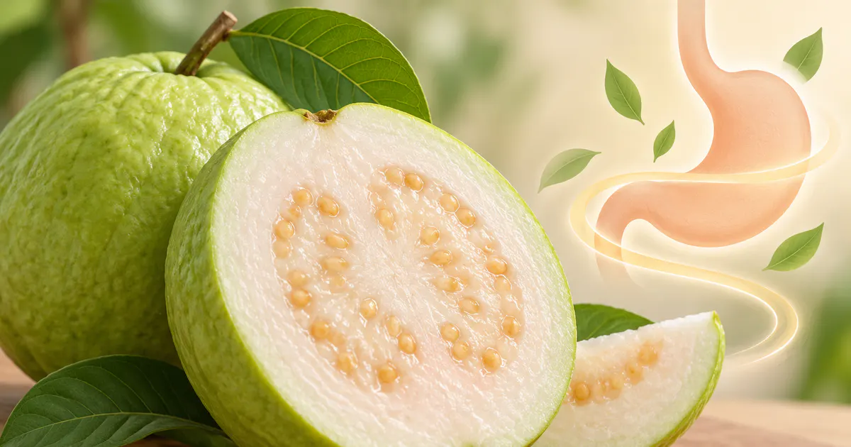 Minh họa đặc điểm ổi và cảm giác tiêu hóa ở người trào ngược